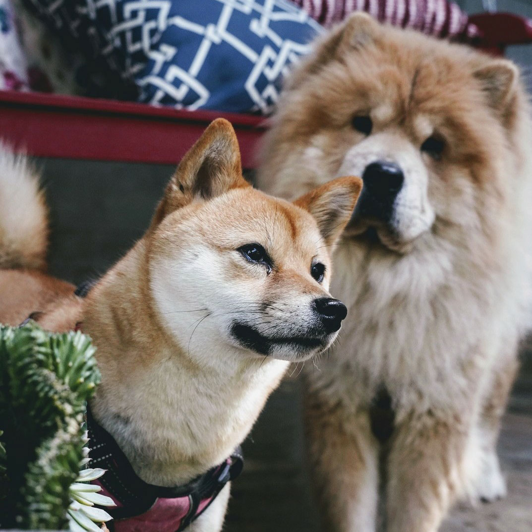 Resized__DSC0109~3-1